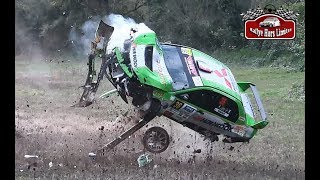 BEST OF RALLY 2019  BIG CRASHES amp MISTAKES [upl. by Nnaitsirk]