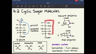 MCAT Biochemistry Ch 4 Carbohydrate Structure and Function [upl. by Ydnac939]