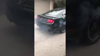 2019 Bullitt Mustang [upl. by Mairam]