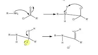 SchottenBaumann Reaction and its Mechanism [upl. by Leirum404]