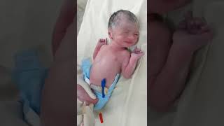 baby injection give 😱😱 not crying funny shorts shortfeeds nicucare [upl. by Aldric400]