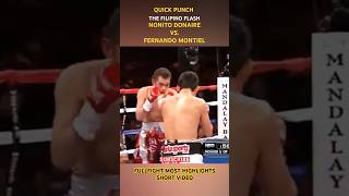 NONITO DONAIRE VS FERNANDO MONTIEL  FULLFIGHT MOST HIGHLIGHTS SHORT VIDEO 🥊 [upl. by Brent]