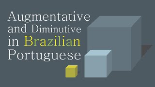 Augmentative and Diminutive in Brazilian Portuguese  Nouns Lesson [upl. by Enomys]