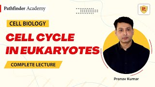 Cell cycle in eukaryotes  Cell Biology  Pranav Kumar  CSIR NET  GATE  CUET PG  IIT JAM [upl. by Homerus203]