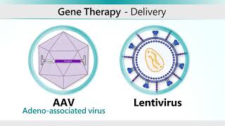 Hemophilia AAV Gene Therapy Animation [upl. by Norrad]