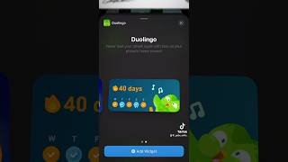 How to make a Duolingo widget on your phone cat bbfb funnymemes funnypictures funny [upl. by Annam572]