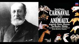 SaintSaëns Le carnaval des animaux  3 Hémiones Animaux véloces [upl. by Aihtebat610]