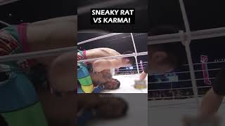 SNEAKY RAT VS KARMA [upl. by Spearing]