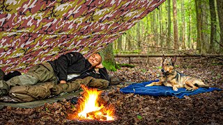 1 Nacht im Wald mit Hund [upl. by Graf]