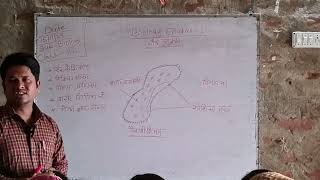 class 10 biology PARAMECIUM class [upl. by Gittel]