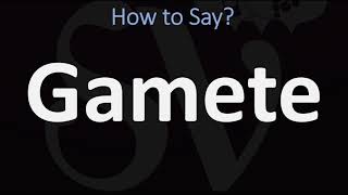 How to Pronounce Gamete CORRECTLY [upl. by Kissee]