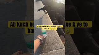 Kitne bewakoof comment krege  Let’s see🤣 trending sarcasm shayri status funny funnyvideo yt [upl. by Corilla]