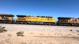 At Rio Bravo MP 891 No stampede maybe a drive Who’s riding drag [upl. by Ffej763]