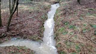 quotThe Trenchquot Managing water coming from a neighboring property [upl. by Mellar]