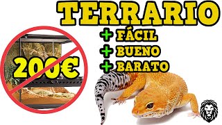 COMO HACER UN TERRARIO CASERO Gecko Leopardo  Reino Animal [upl. by Cherian]