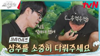 이거 왜 이래 설비부 해진의 상추 씻는 법 highlight 삼시세끼Light EP7 [upl. by Atnaloj240]