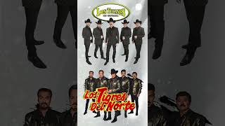 Los Tucanes De Tijuana Los Tigres Del Norte Grupo Exterminador Puros Corridos mp4 [upl. by Arahd]