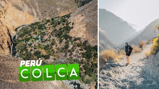 Increíble aventura en el CAÑÓN DEL COLCA  OASIS DE SANGALLE  Vagajuntos en Perú 6 [upl. by Zedekiah495]