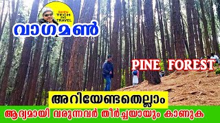 വാഗമൺ Pine Forest Vagamon PineForest keralatourism Godsowncountry Santhutech [upl. by Olag712]