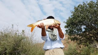 Sazan və Sudak ovufishing catchingvideo amazingfishingvideos baliqovu [upl. by Qulllon]