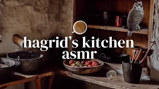 Hagrids Hut Ambience  Relax in Hagrids Kitchen During a Rainstorm  ASMR [upl. by Fabyola]