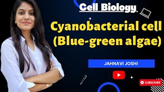 Cyanobacterial cell  Blue Green algae Notes Cell Biology [upl. by Eelhsa]