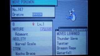 Pokemon  Quick Guide to EV Training Gen 5 [upl. by Aittam139]