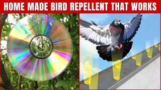 Homemade Bird Repellents to Keep Birds Away That Works 100  Top Repellents [upl. by Ylrahc]