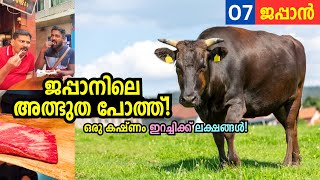 EP07  ജപ്പാനിലെ ലക്ഷങ്ങൾ വിലയുള്ള ബീഫ് 😳 Most expensive meat in the world  Kobe Beef [upl. by Ahsahs]