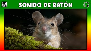 SONIDO DE RATON 🐭 [upl. by Basir]