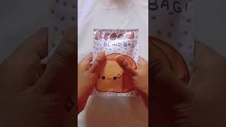 Bread 🍞 blind bag😱 asmr blindbag diy bread squishy ytshorts viralshort shorts [upl. by Enaasiali689]