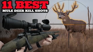 11 Epic Mule Deer Hunts The Best Shots amp Highlights [upl. by Zalea929]