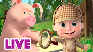 🔴 LIVE 🐻👧 Masha y el Oso 2024 🕵️‍♀️ Actividades inusuales 🎬 Masha and the Bear [upl. by Niuqauj723]