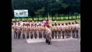 Scouting Month Fancy Drill 2016 Abellana National School [upl. by Maltz699]