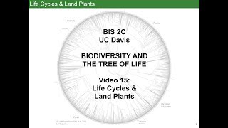 Life Cycles and Land Plants [upl. by Enovi]