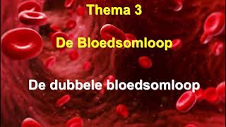 Dubbele bloedsomloop [upl. by Elia]