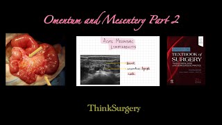 Omentum and mesentery part 2 [upl. by Delly]