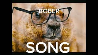 Official bober song [upl. by Ameluz548]