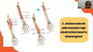 Anatomi Antebrachium dan Manus [upl. by Ginsburg]