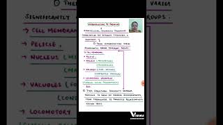 ULTRASTRUCTURE OF PROTOZOA  BABY INTRODUCTIONshorts MSC ZOOLOGY BSC ZOOLOGY NEP [upl. by Clyve772]