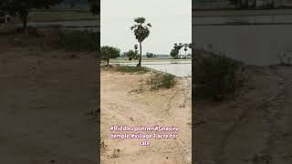 Riddles ponneri Gnayiru village 1 acre land for sale9698261167 [upl. by Toback]