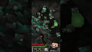 APRENDENDO A USAR A VARA DE PESCA RELÓGIO BUSSOLA E REFORMANDO A CASA minecraft dicas tips [upl. by Thane865]