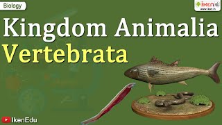 Kingdom Animalia  Vertebrata  Class 11 Biology  iKen [upl. by Iclek617]