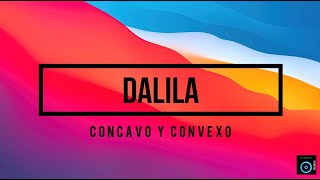 DALILA  CONCAVO Y CONVEXO KARAOKE [upl. by Jaddan]