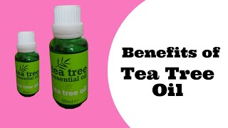 Benefits of Tea Tree Essential Oil [upl. by Feldt]