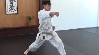 ten no kata  introduction [upl. by Hooper]