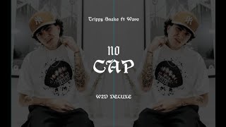 Trippy Snake ft Wave  NO CAP Lyrics [upl. by Ward]