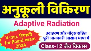 अनुकूली विकिरण Adaptive Radiation  anukuli vikiran kya hai udaharan sahit likhiye  biology 12th [upl. by Richie]