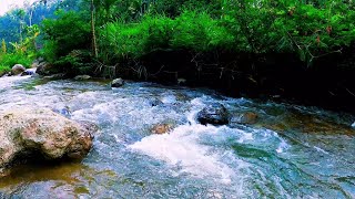 ASMR Flowing River Sounds for Studying  Focus and Concentration Boost [upl. by Nai]