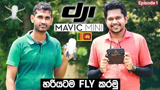 DJI Mavic Mini 🇱🇰 Drone හරියටම Fly කරමු Episode 01 [upl. by Barnabe364]